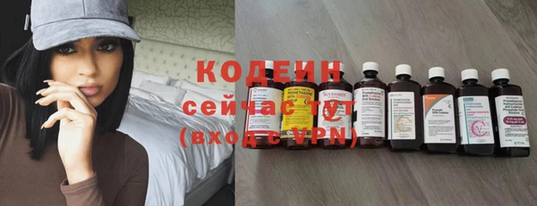 амф Верхний Тагил