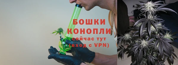 амф Верхний Тагил