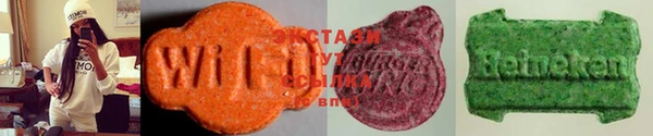 амф Верхний Тагил