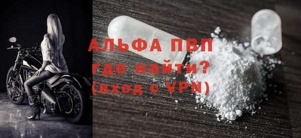 соль ск Новодвинск