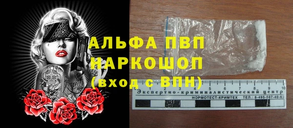 амф Верхний Тагил