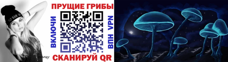 Псилоцибиновые грибы ЛСД  купить закладку  мега онион  Отрадный 